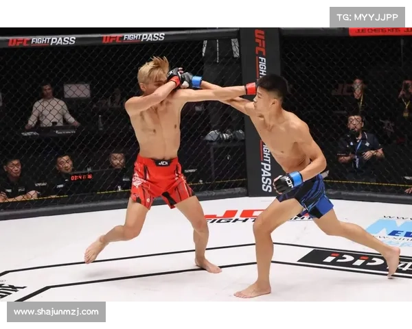 mma几大赛事