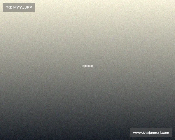 综合格斗锦标赛